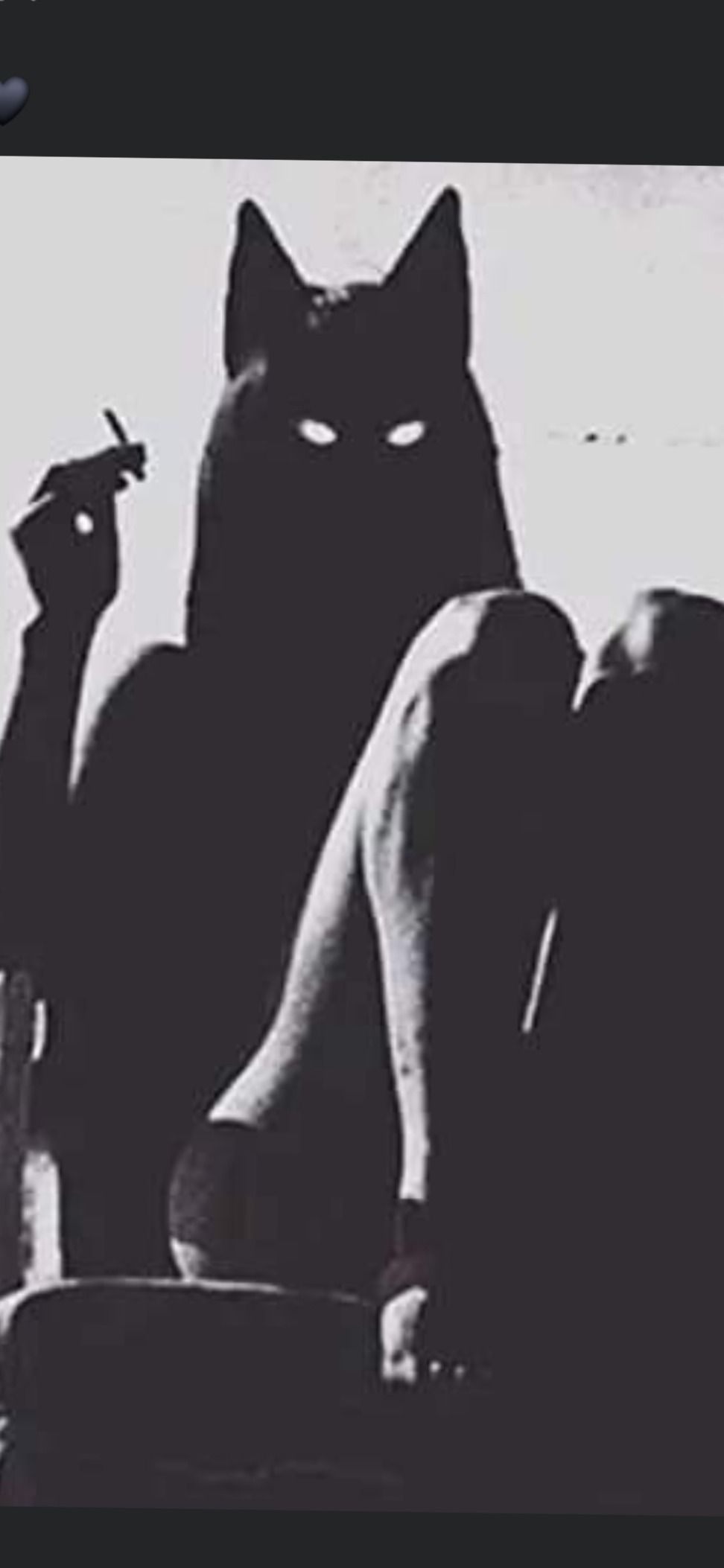 yohsmarly OnlyFans profile picture