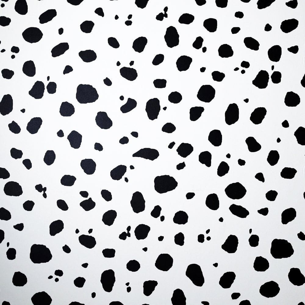 louisapovey OnlyFans profile picture