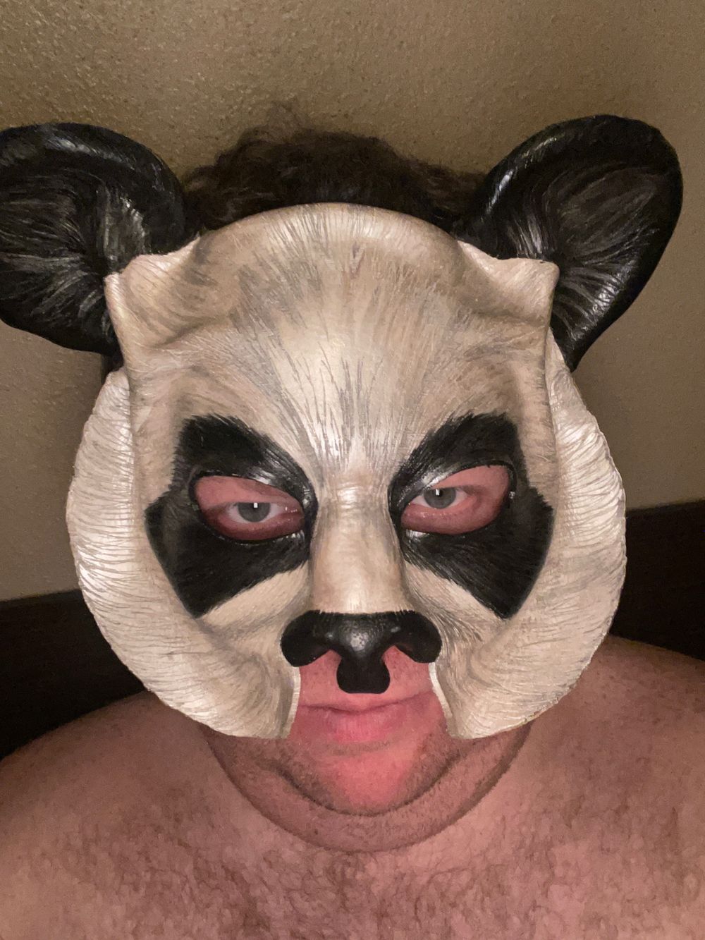 brandonisapanda OnlyFans profile picture
