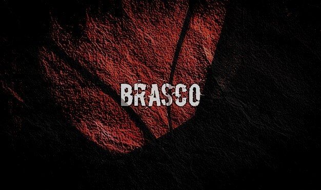 ronanbrasco OnlyFans profile picture