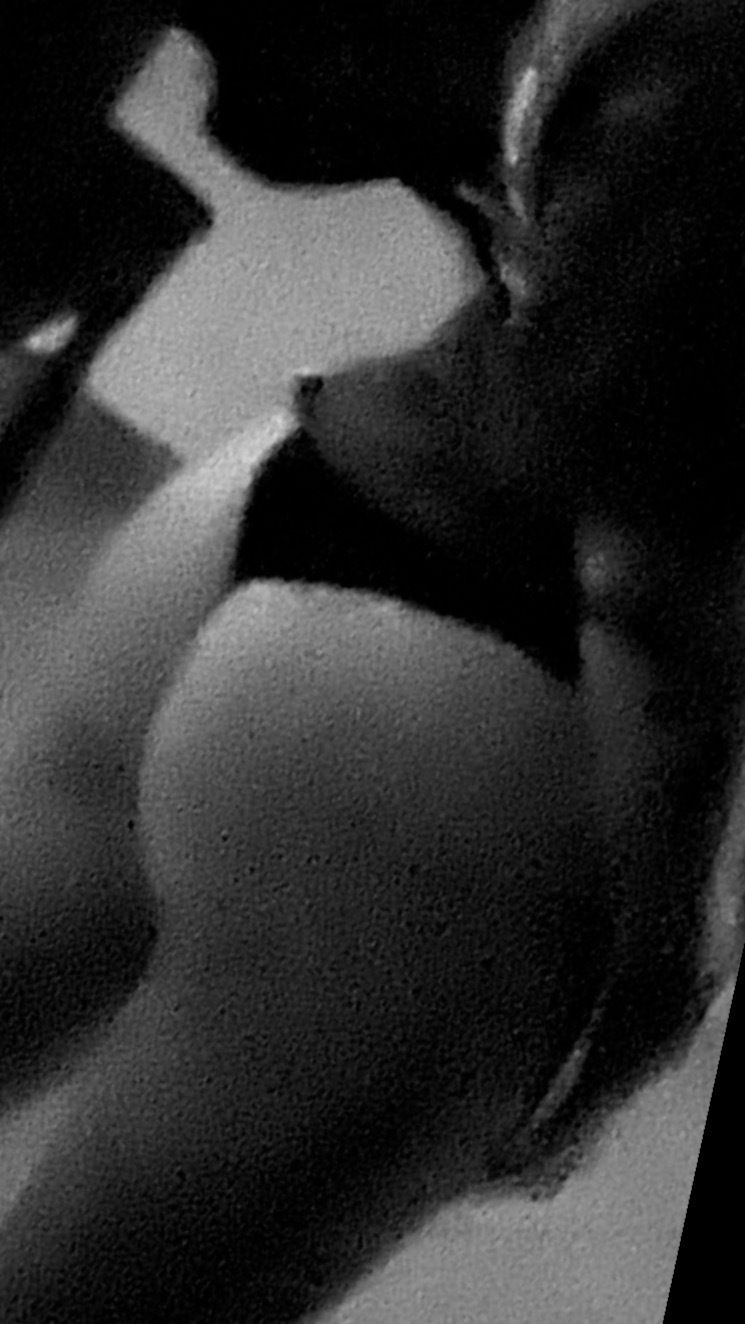sweetcherry.top OnlyFans profile picture
