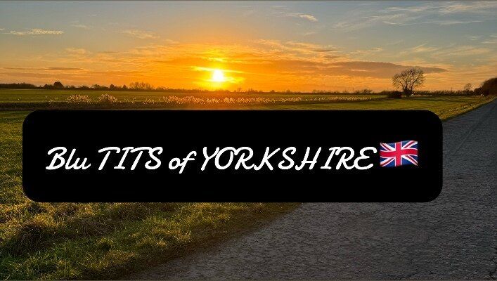 blutitsofyorkshire OnlyFans profile picture