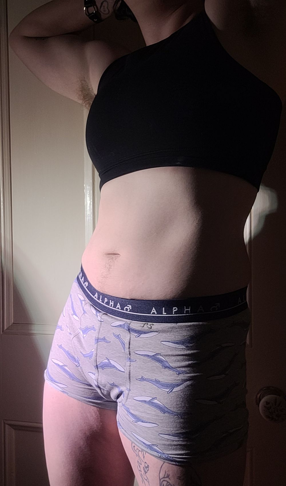 foxfuchs OnlyFans profile picture