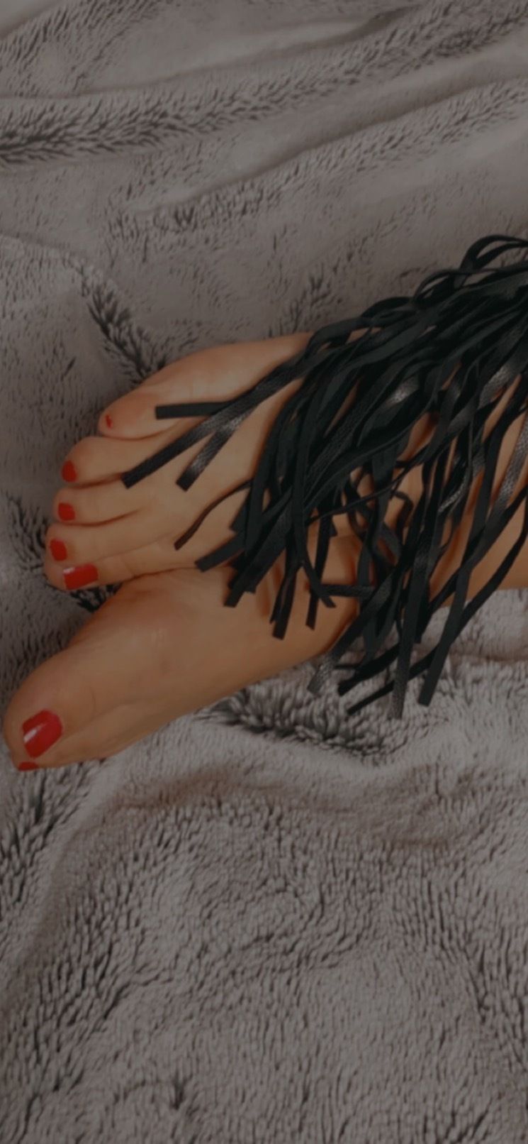 u246459451 OnlyFans profile picture