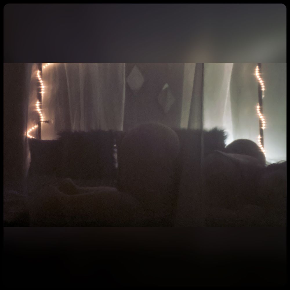 kikibunz OnlyFans profile picture