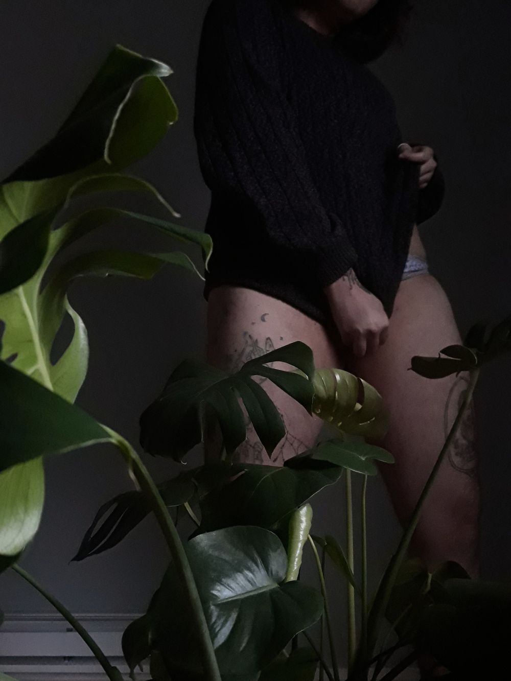 thedenny OnlyFans profile picture