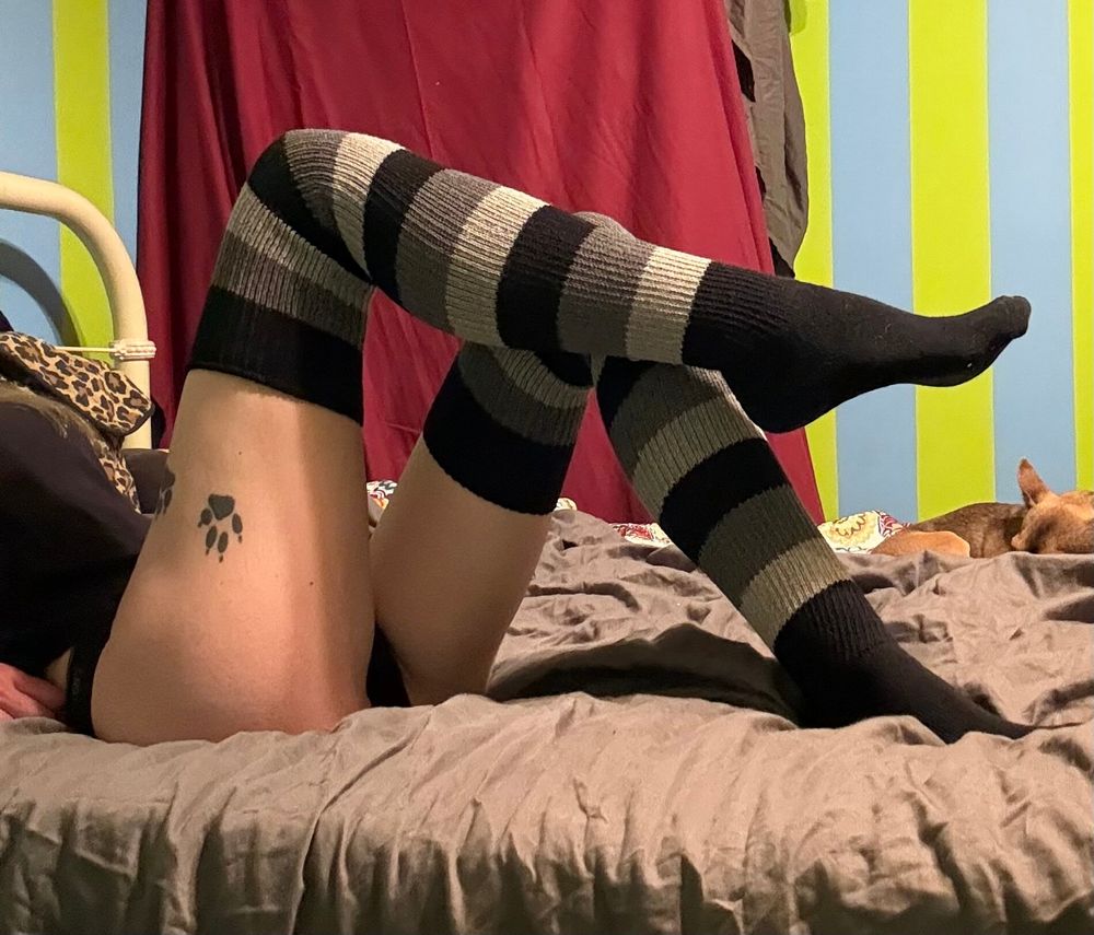 southernbelle2 OnlyFans profile picture