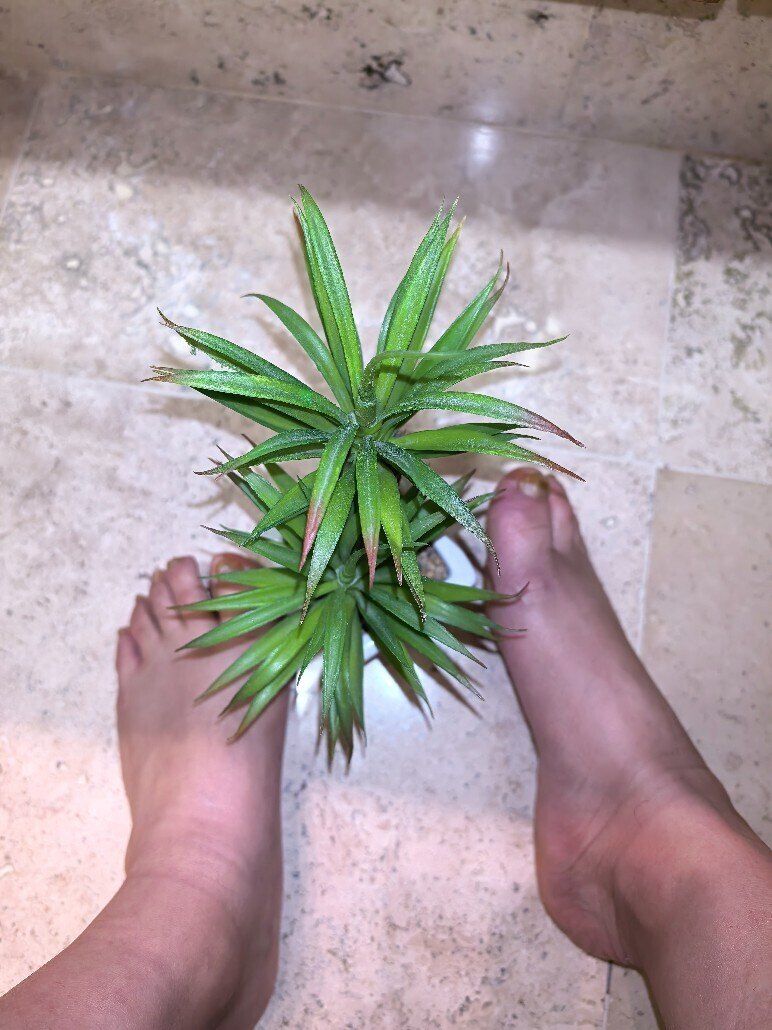 uglyfuglyfeet OnlyFans profile picture