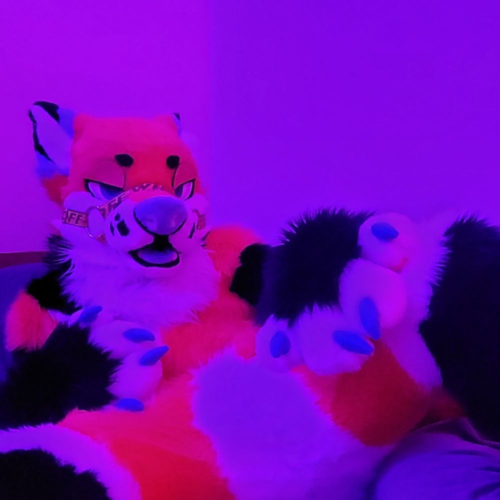 fospherfox OnlyFans profile picture