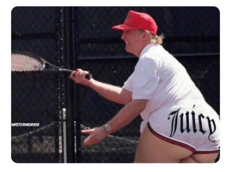 thereallyrealdonaldtrump OnlyFans profile picture