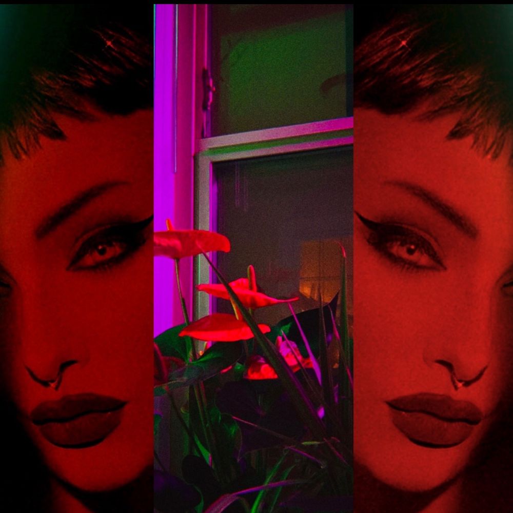 ghiblikitty OnlyFans profile picture