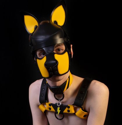 pupvoltzy OnlyFans picture