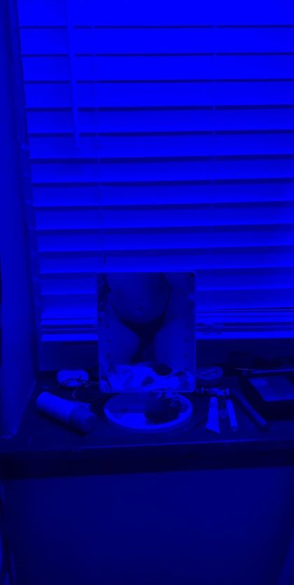 honeypots2 OnlyFans picture
