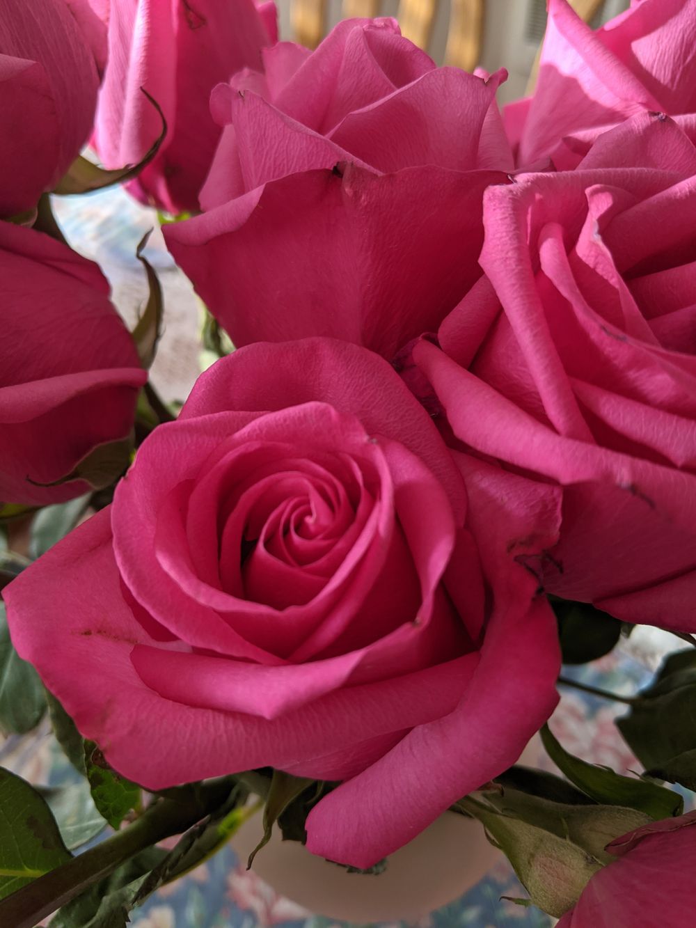 summertimerose OnlyFans profile picture