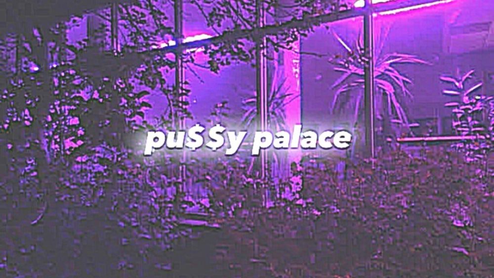 b4b7c0c0 OnlyFans profile picture
