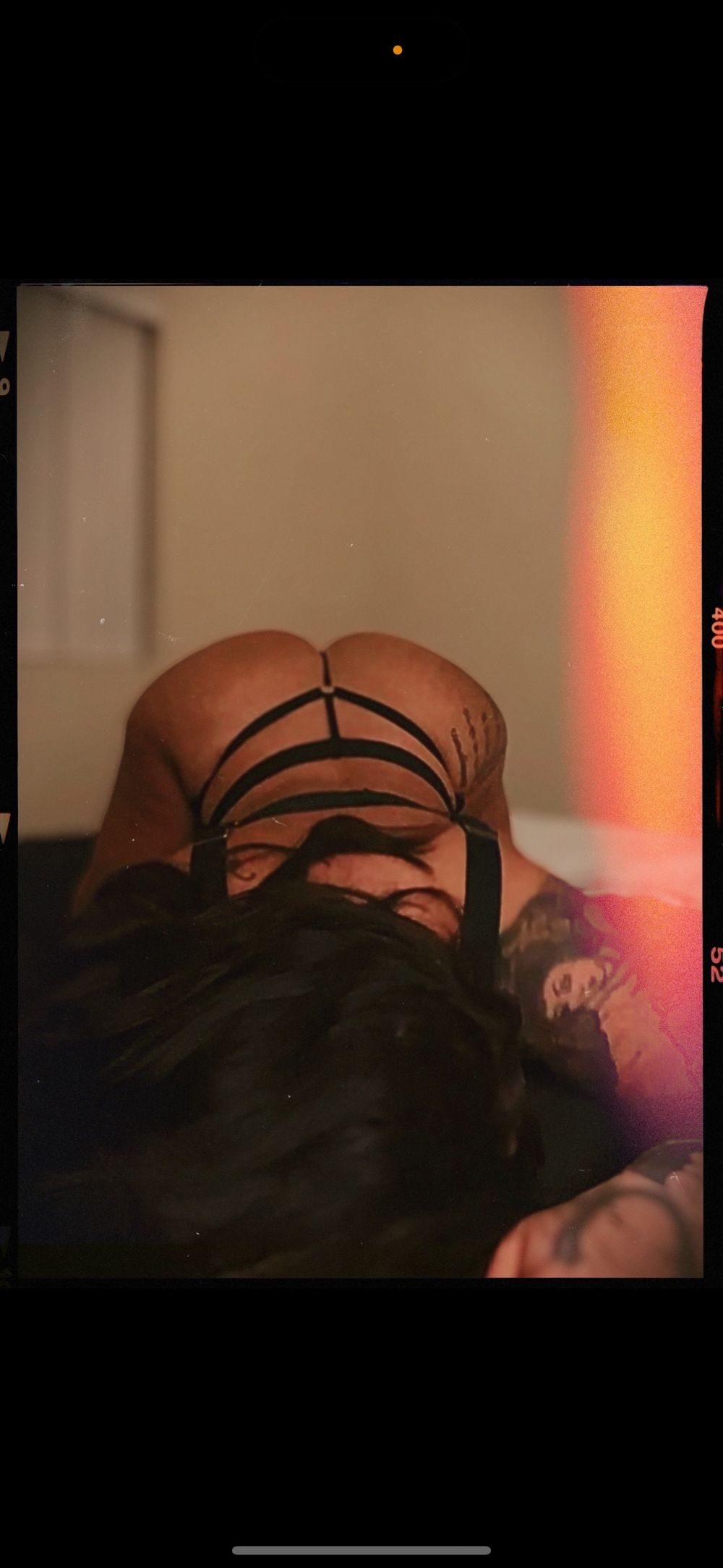 tattedvirgo_bb OnlyFans profile picture