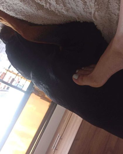 u227741313 OnlyFans picture
