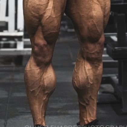 kingcalves OnlyFans picture