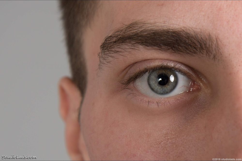 thefelixpalmer OnlyFans profile picture