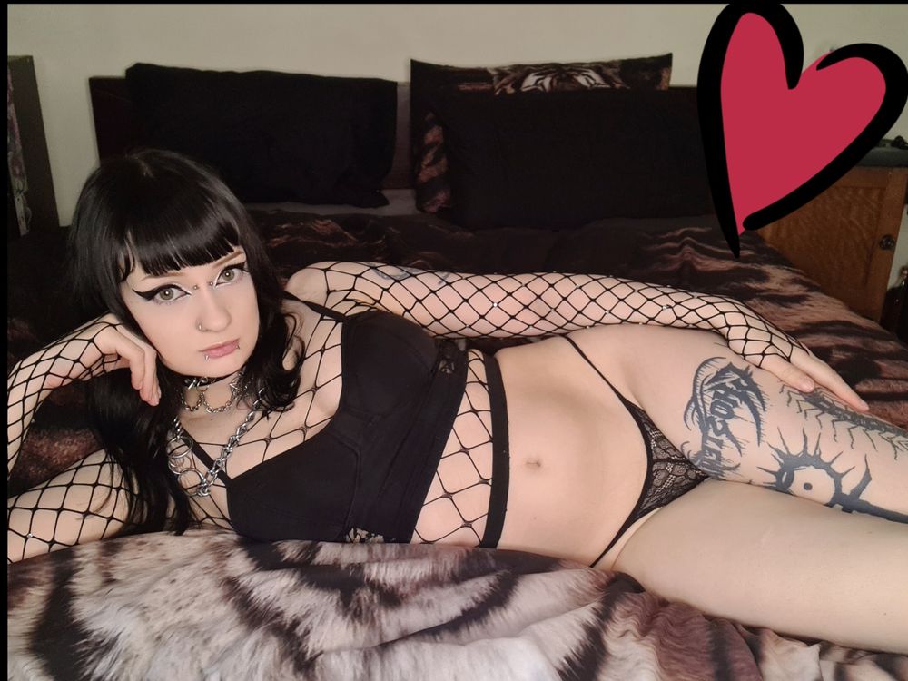alexxarctophile OnlyFans profile picture
