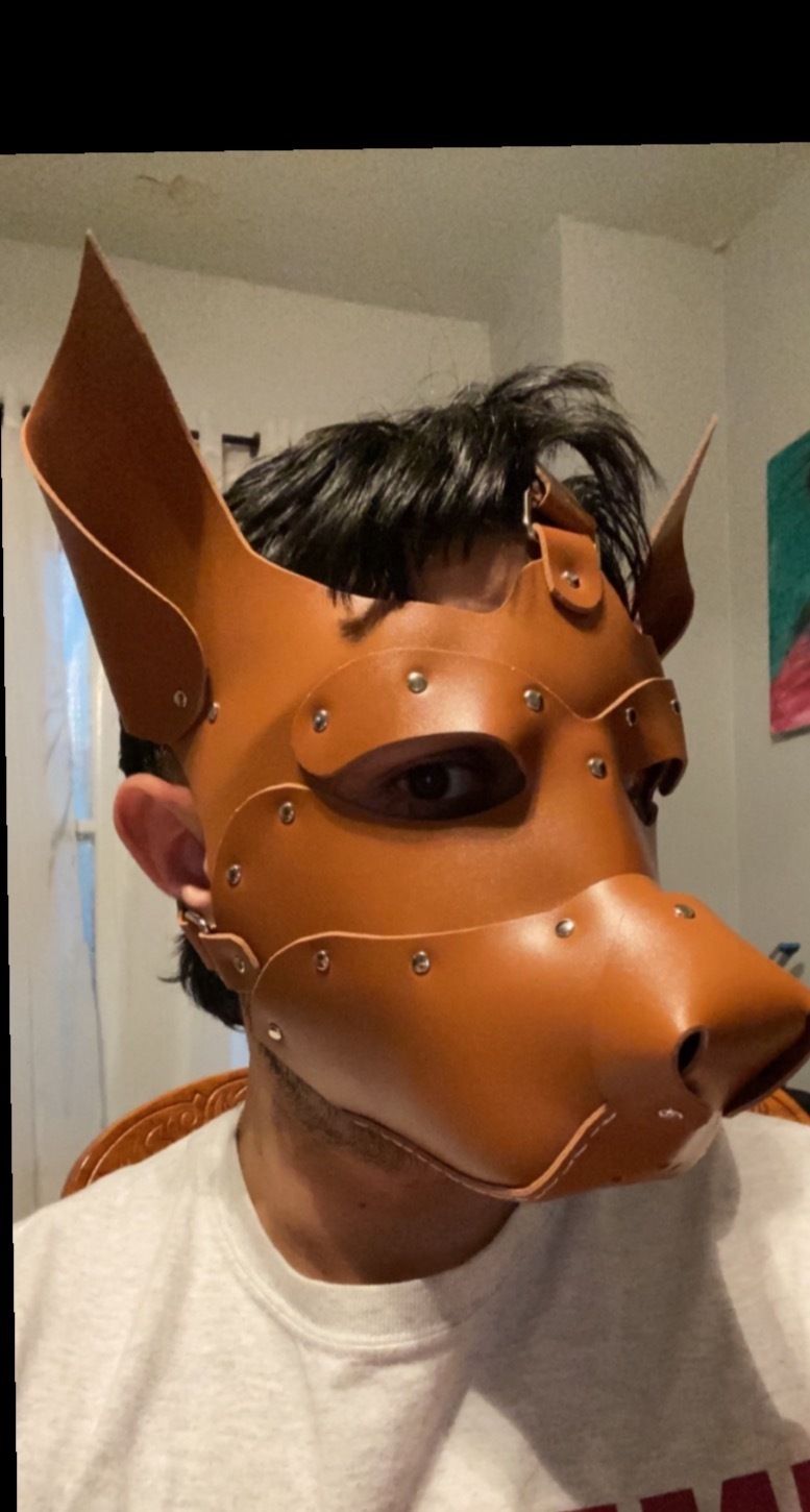 noellone OnlyFans profile picture