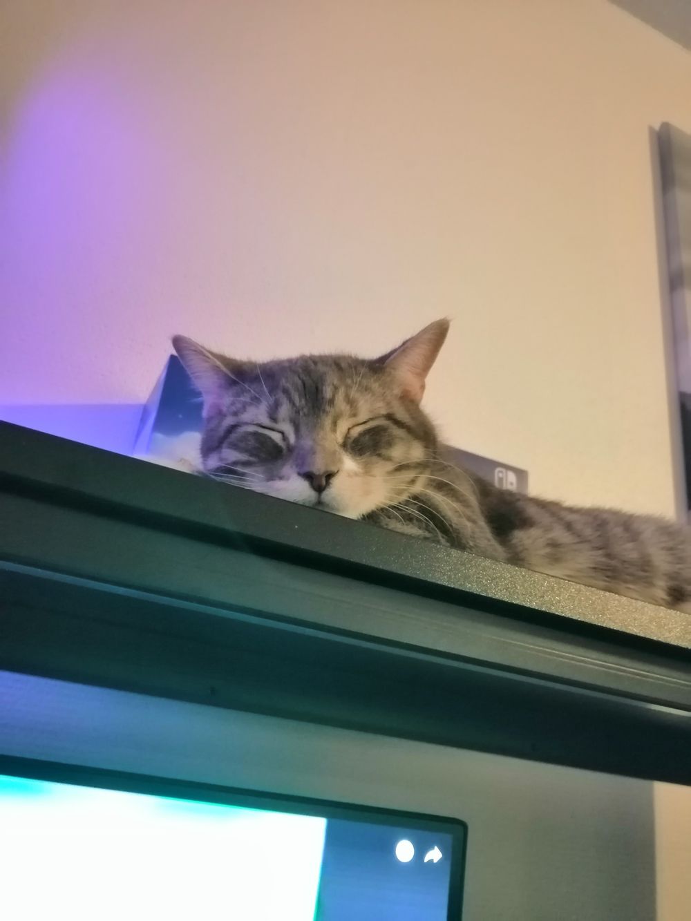 wuffixoxo OnlyFans profile picture