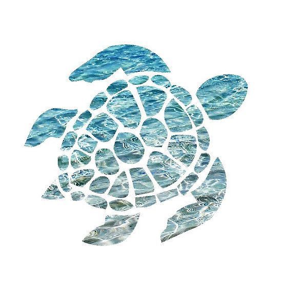 xoxoturtles OnlyFans profile picture
