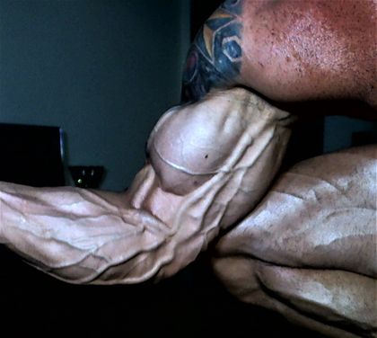 gold.muscles OnlyFans picture