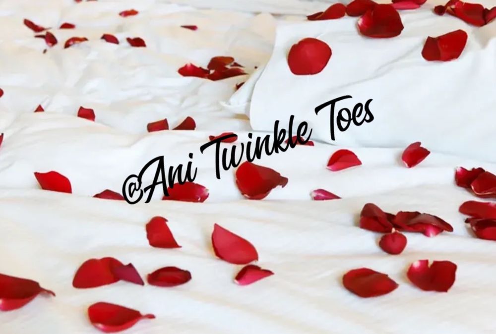 anitwinkletoes OnlyFans profile picture