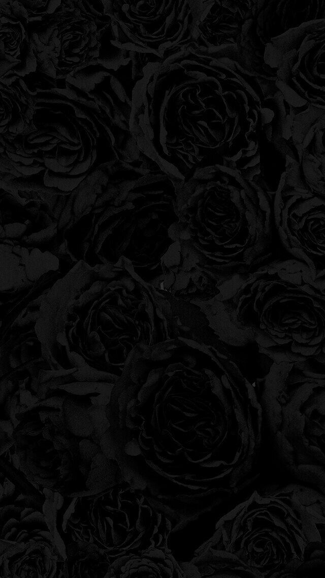 obscene.xiii OnlyFans profile picture