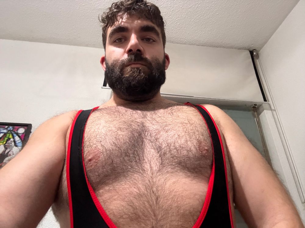 candaditormania OnlyFans profile picture