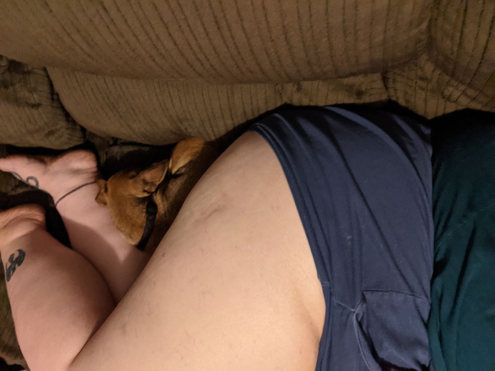 darklynn83 OnlyFans profile picture