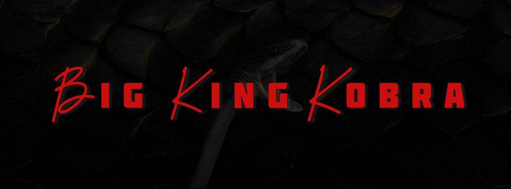 bigkingkobra OnlyFans profile picture