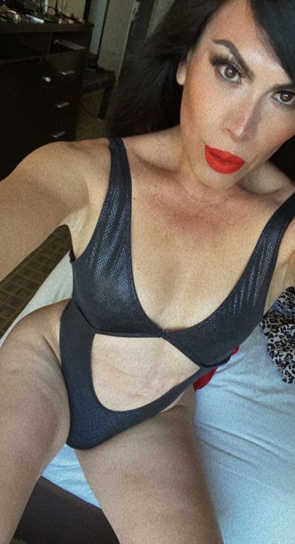 palomarivera OnlyFans picture