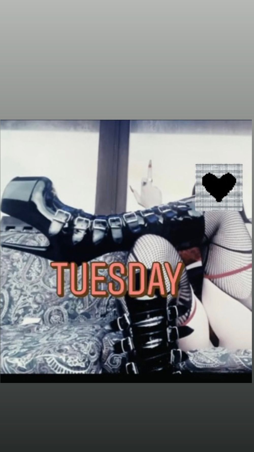xxelviraxx OnlyFans profile picture