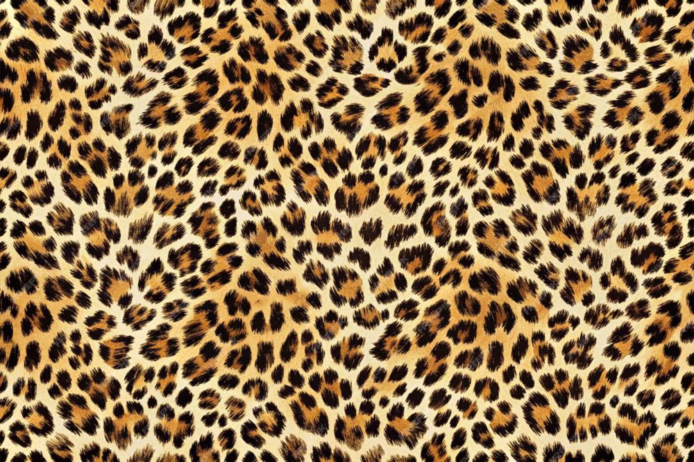 sissydaniof OnlyFans profile picture