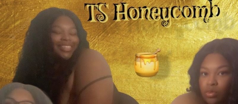 tshoneycomb OnlyFans profile picture