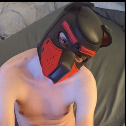 skollpup OnlyFans picture