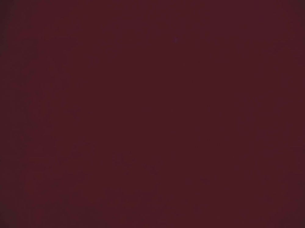 markonlyhec OnlyFans profile picture