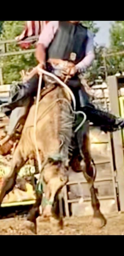 cowboydick6 OnlyFans picture