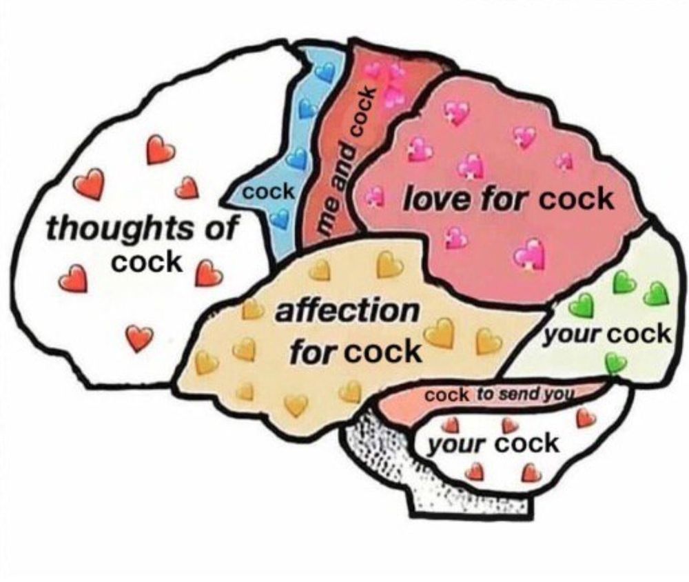 bjvinh OnlyFans profile picture