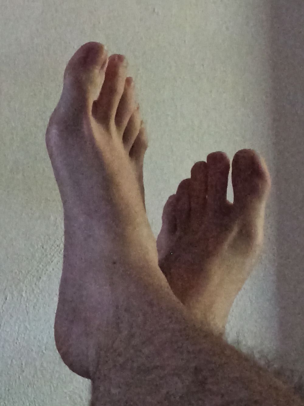 thepezins OnlyFans profile picture