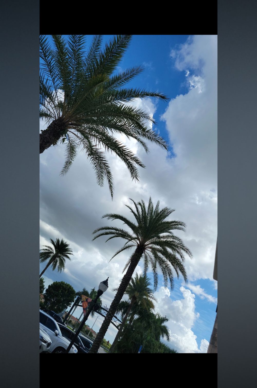 daydreams4u OnlyFans profile picture