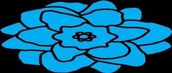 rednettles OnlyFans profile picture