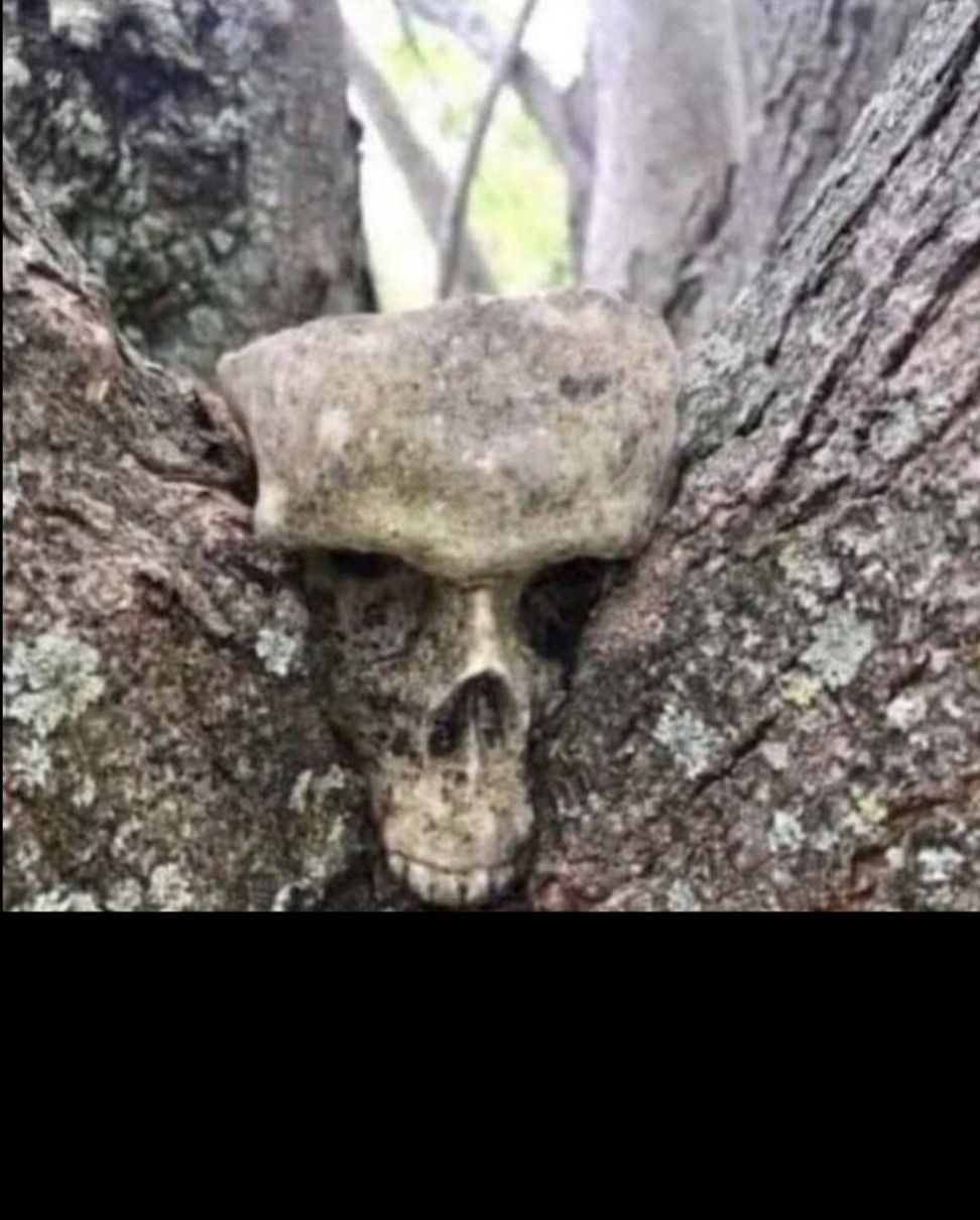 metalhead9inch OnlyFans profile picture