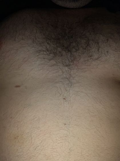 versbear2115 OnlyFans picture