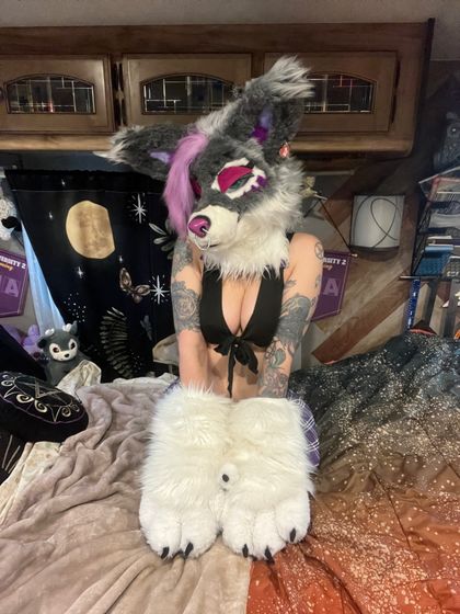 raynebowpaws OnlyFans picture