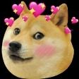 prigenoma OnlyFans profile picture