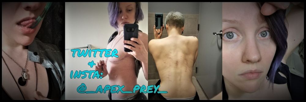 apex_prey OnlyFans profile picture
