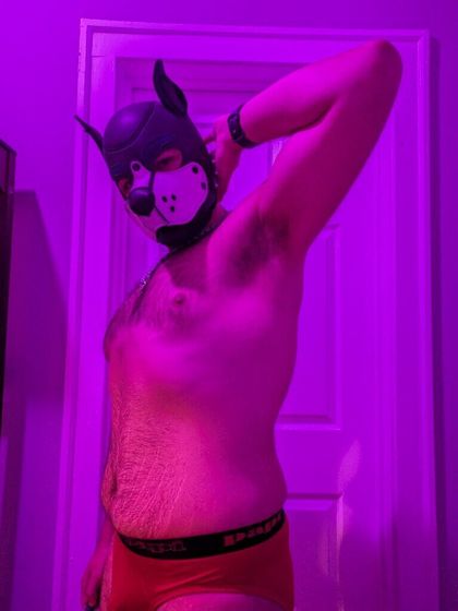 altysaurusrex OnlyFans picture